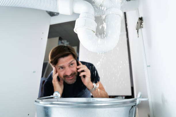 Best Plumbing Repair Near Me  in Wanamingo, MN