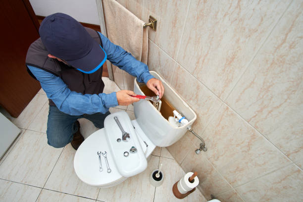 Best Same-Day Plumbing Service  in Wanamingo, MN