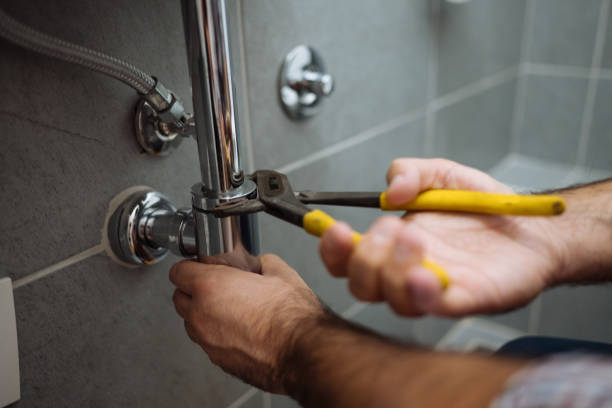 Best Affordable Plumbing Services  in Wanamingo, MN