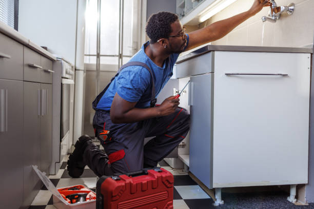 Best Same-Day Plumbing Service  in Wanamingo, MN